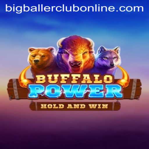 Dive into the World of BuffaloPower: A Bigballerclub Favorite